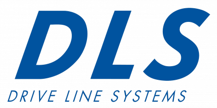 DLS logo